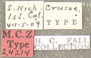 Media type: image;   Entomology 24214 Aspect: labels